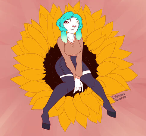 06022020